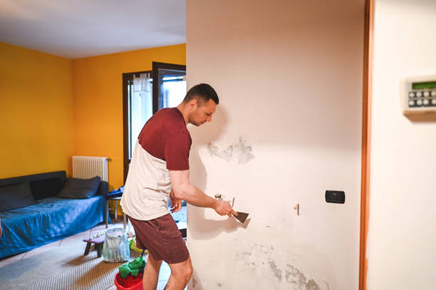 Best Emergency Mold Removal  in Falling Waters, WV