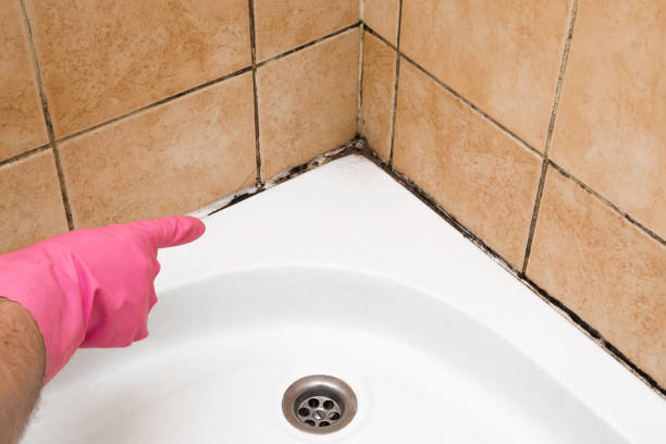 Best Office Mold Removal Services  in Falling Waters, WV